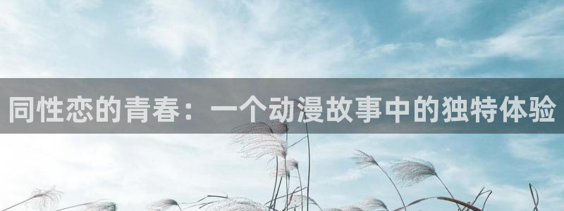 汗汗漫画在线高清阅读：同性恋的青春：一个动漫故事中的独特体验配图