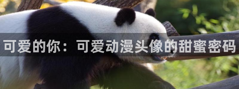 汗汗漫画人气榜:可爱的你:可爱动漫头像的甜蜜密码配图