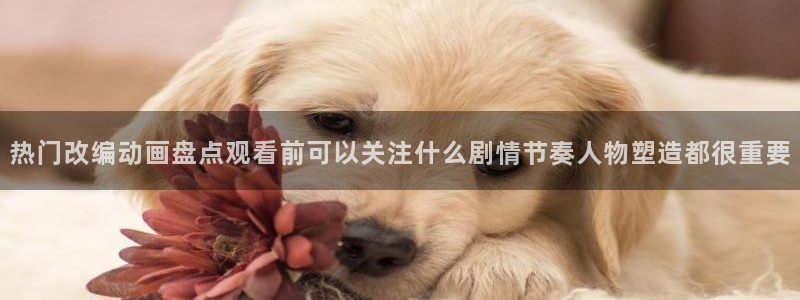 汗汗漫画精品大全：热门改编动画盘点观看前可以关注什么剧情节奏人物塑造都很重要配图