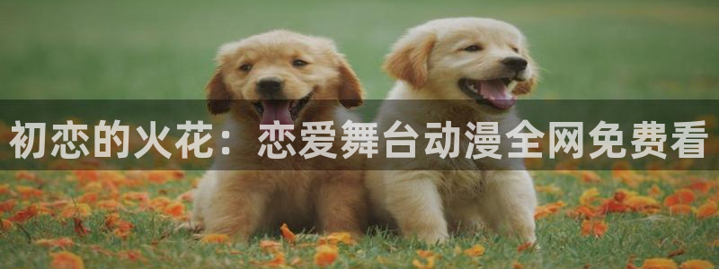 汗汗漫画免费:初恋的火花:恋爱舞台动漫全网免费看配图