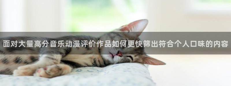汗汗漫画中文版：面对大量高分音乐动漫评价作品如何更快筛出符合个人口味的内容配图