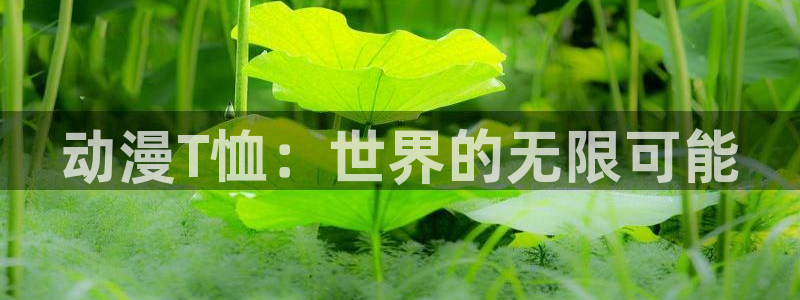 汗汗漫画今日推荐：动漫T恤：世界的无限可能配图