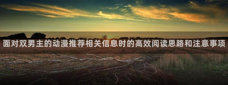 汗汗漫画推荐有哪些：面对双男主的动漫推荐相关信息时的高效阅读思路和注意事项配图